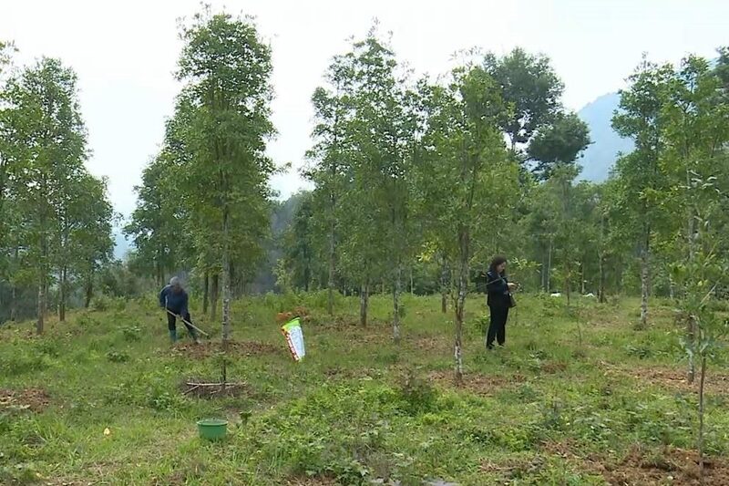 b48daf3f6972152d2a0eb39e0a8d2d32